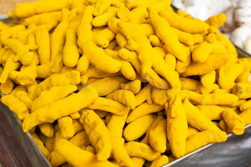 Turmeric Roots