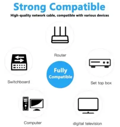 Ethernet Cable D-Link LAN Cable 10 m CAT6 LAN Cable  (Compatible with Laptop, Desktop, Router, Modem, TV, Grey)