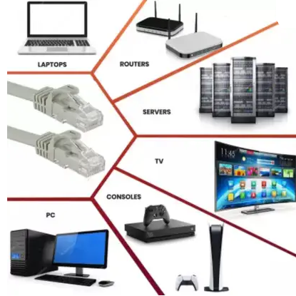 Ethernet Cable D-Link LAN Cable 10 m CAT6 LAN Cable  (Compatible with Laptop, Desktop, Router, Modem, TV, Grey)