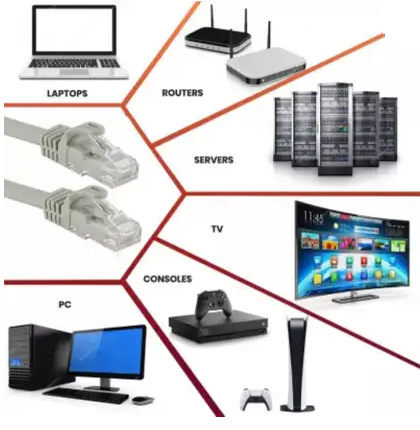 D-Link LAN Cable 2 m CAT6 LAN Cable  (Compatible with Laptop, Desktop, Router, Modem, TV)