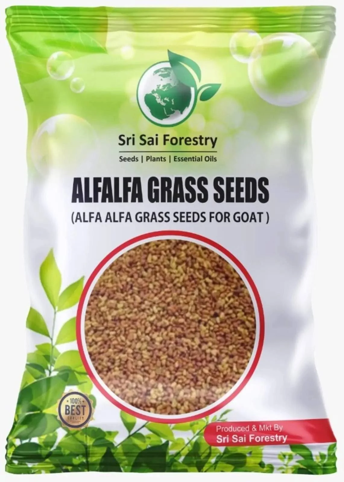 Alfalfa Grass Seeds