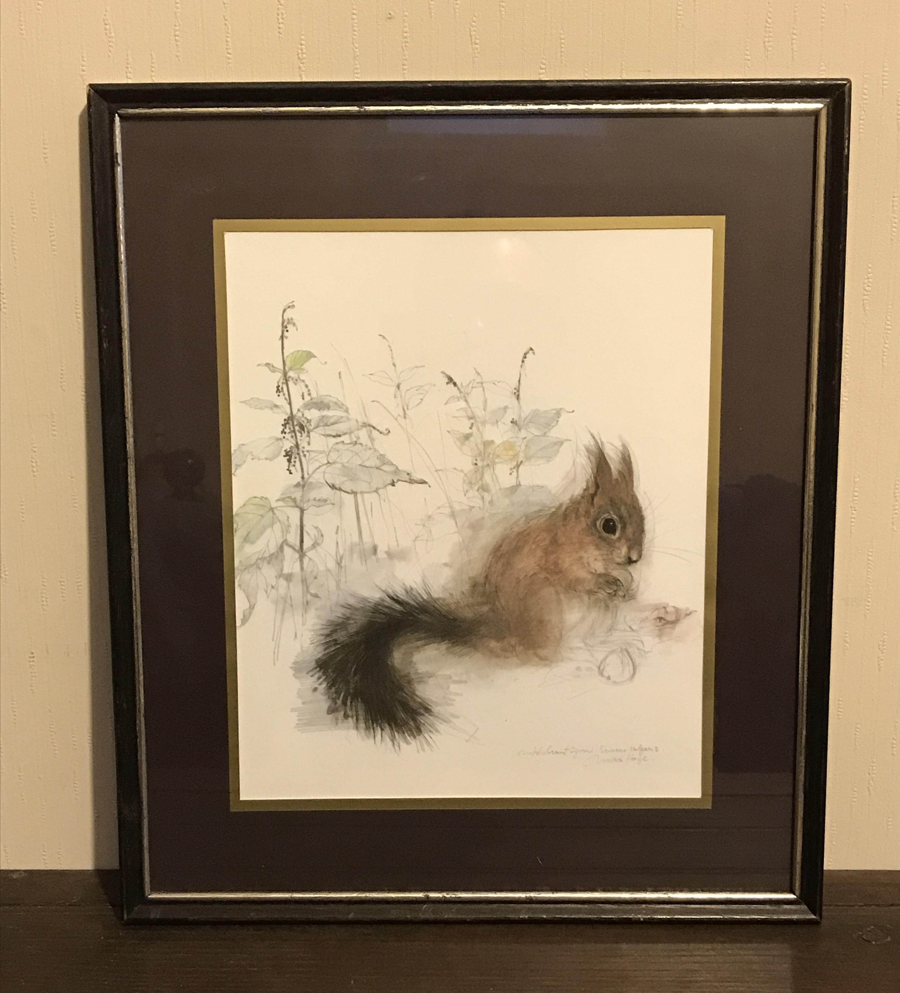 Mads Stage Vintage print of a Red Squirrel. Danish Retro Scandi art