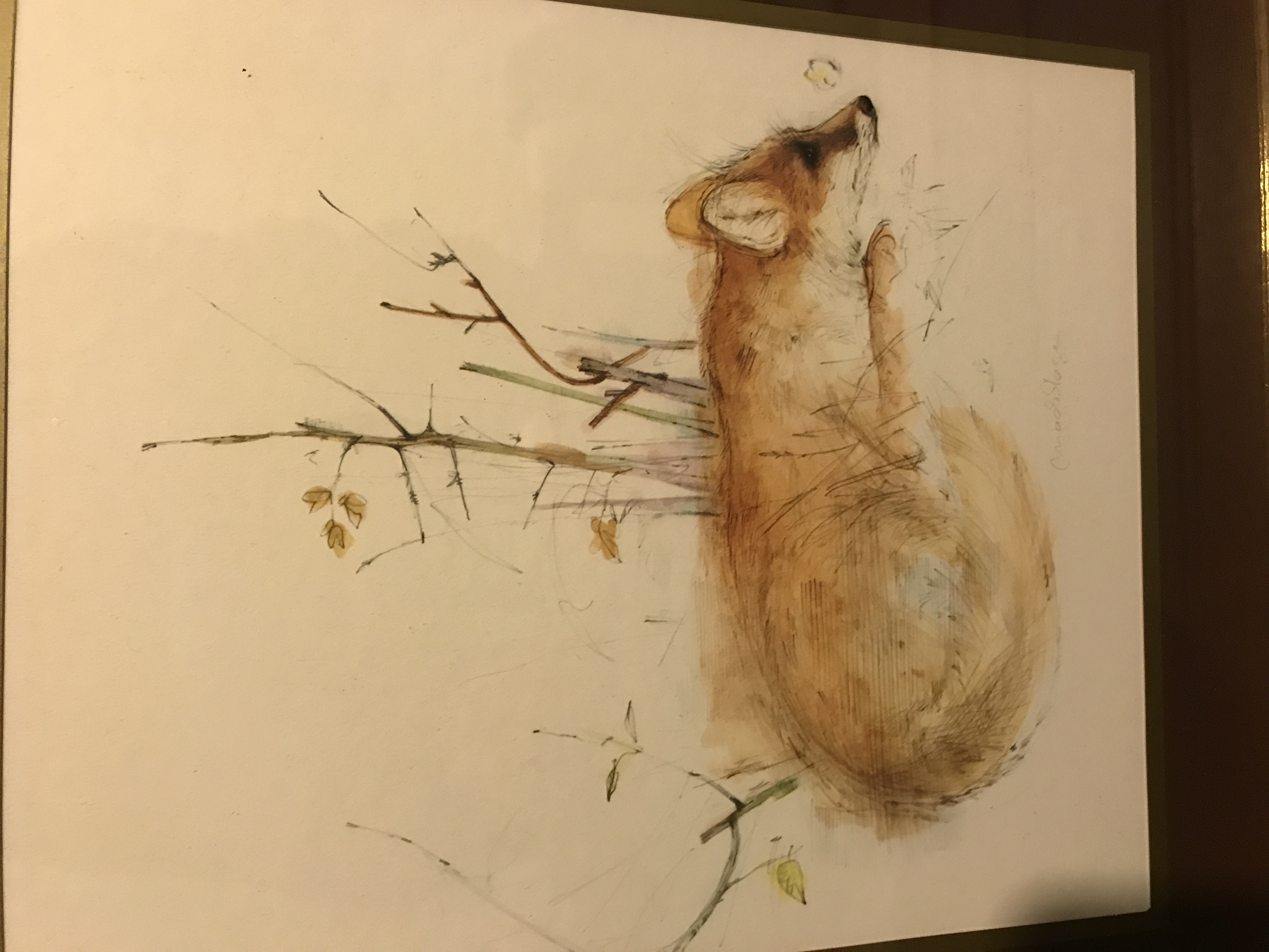 Mads Stage Vintage print of a Fox. 