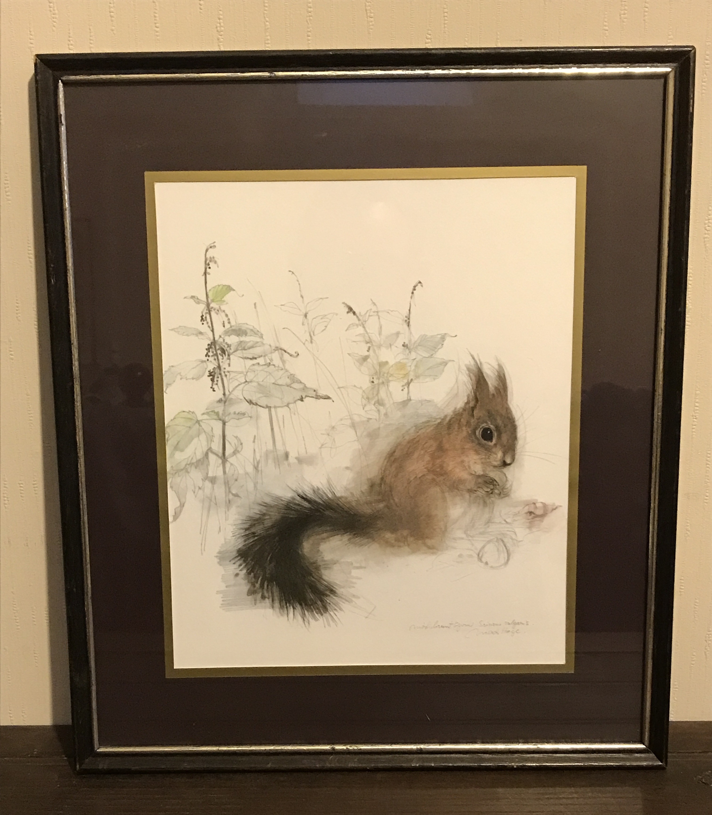 Mads Stage Vintage print of a Red Squirrel. Danish Retro Scandi art