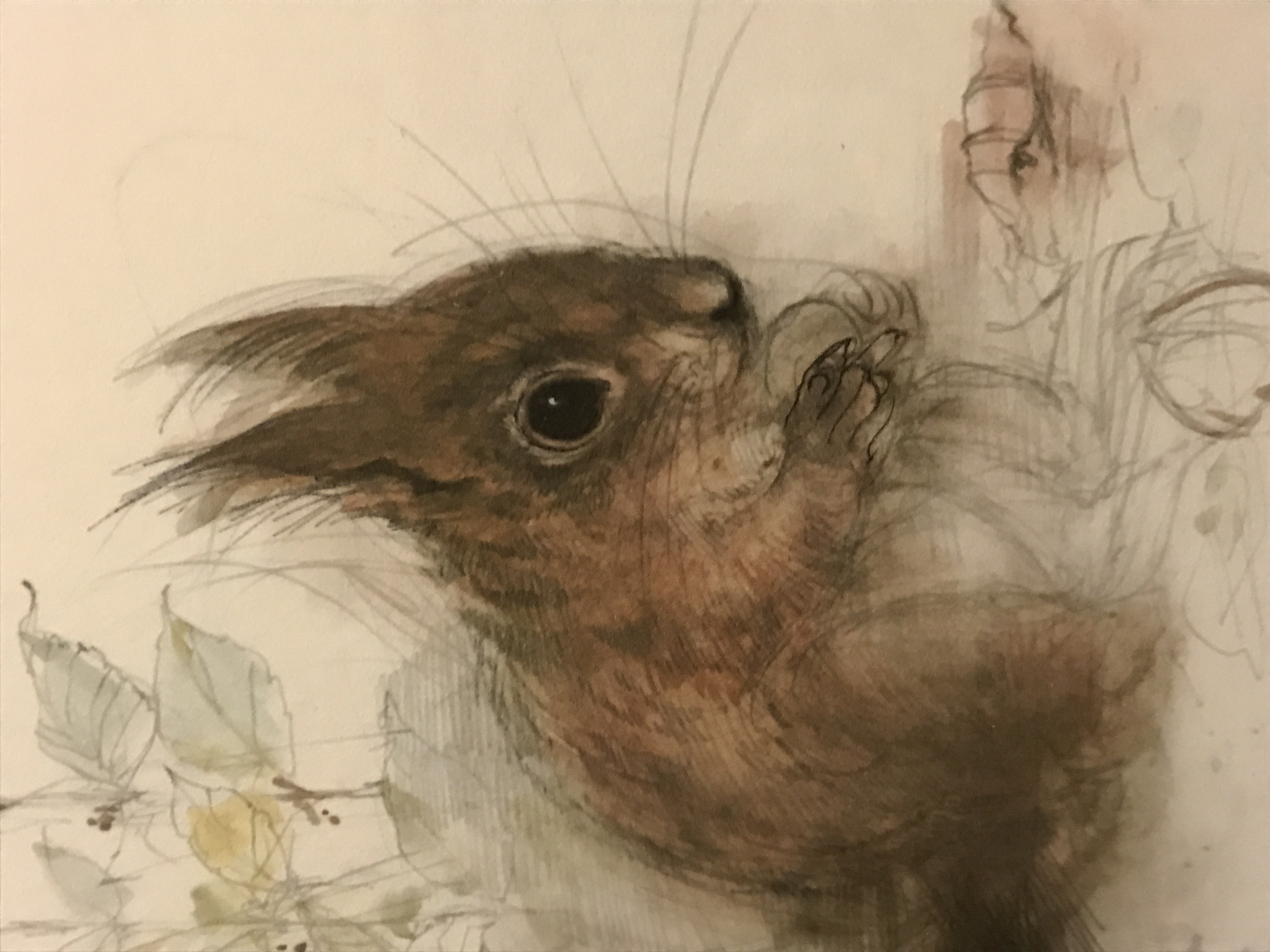 Mads Stage Vintage print of a Red Squirrel. Danish Retro Scandi art