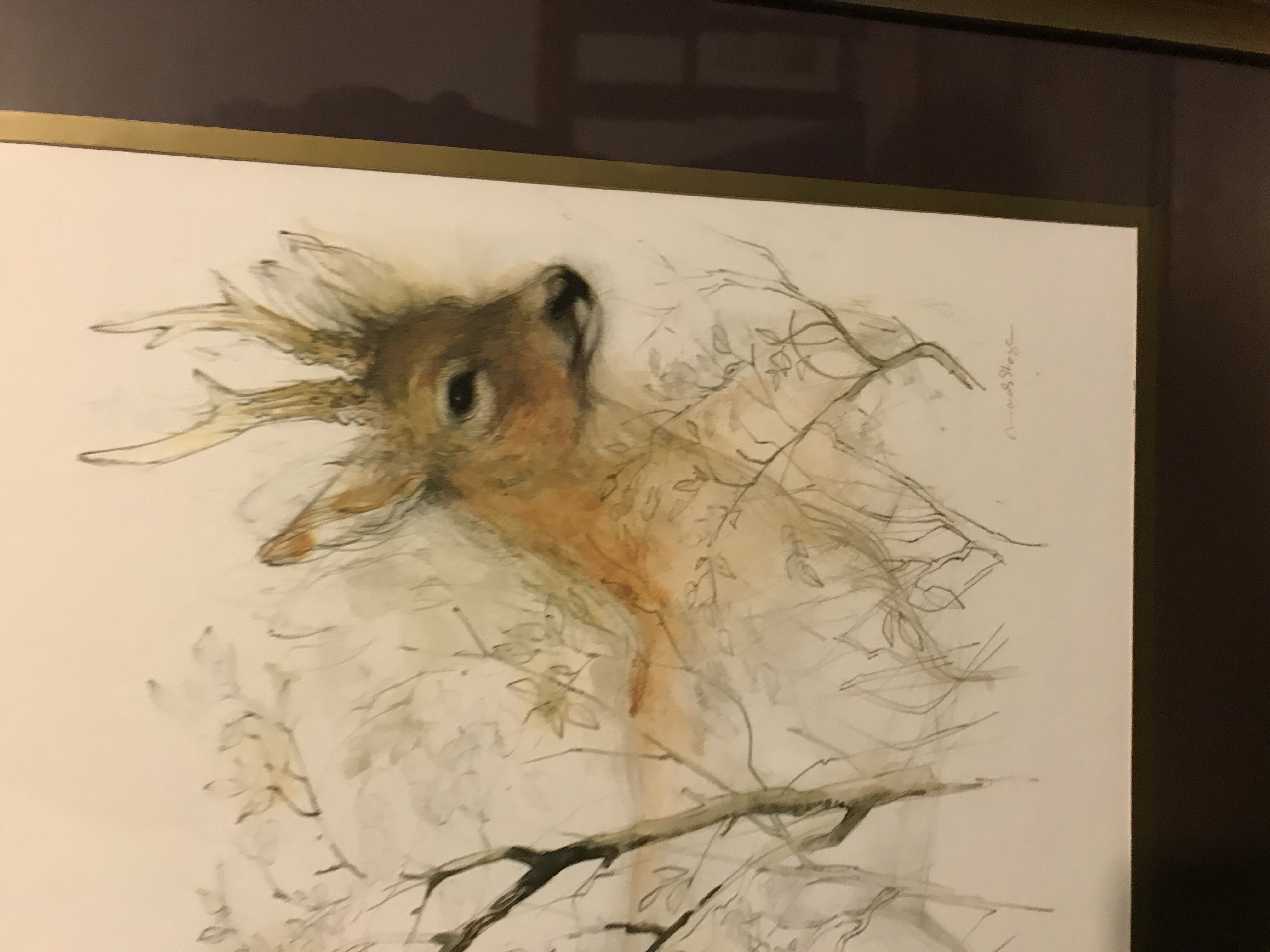 Mads Stage Vintage print of Fallow Buck. Danish retro Scandi art