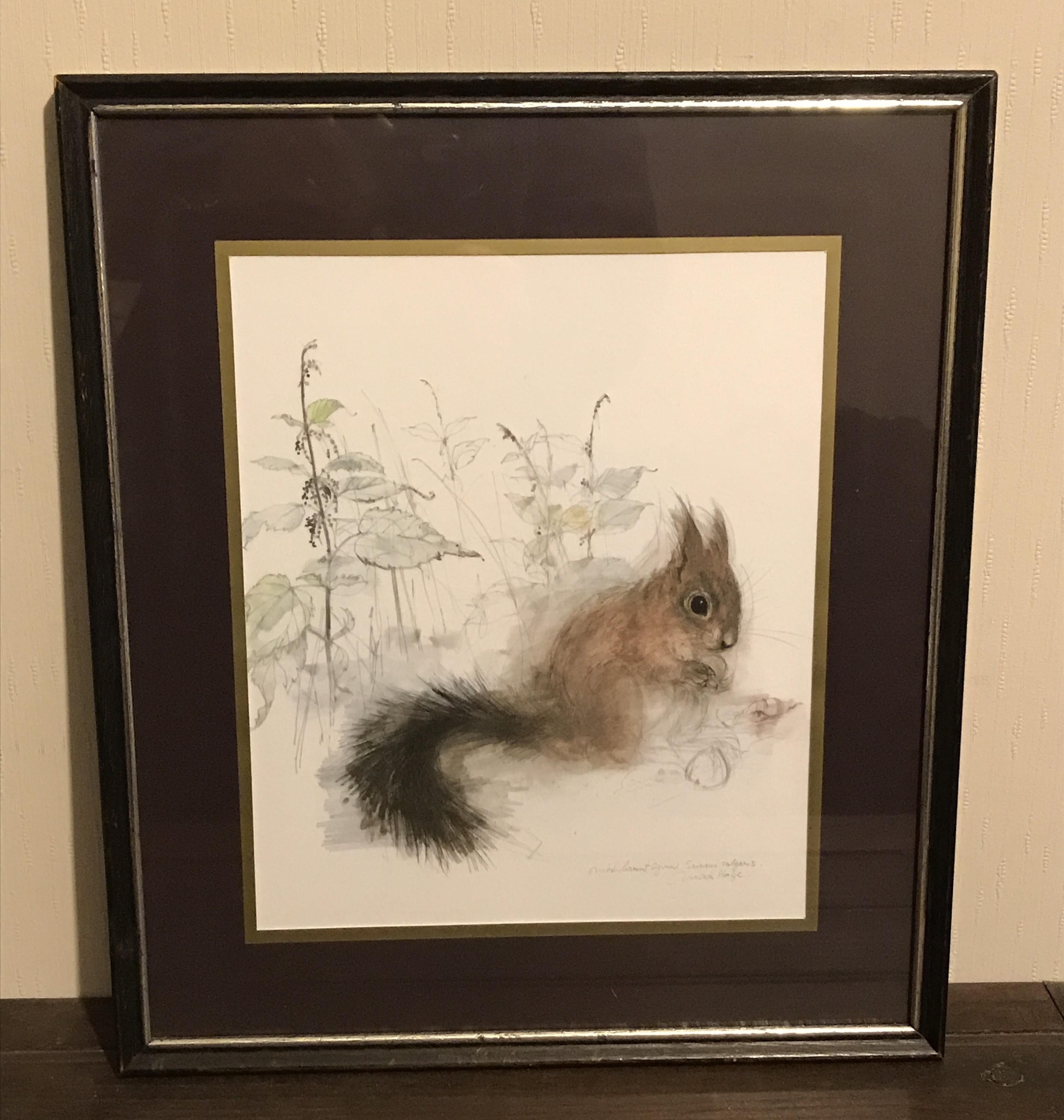 Mads Stage Vintage print of a Red Squirrel. Danish Retro Scandi art