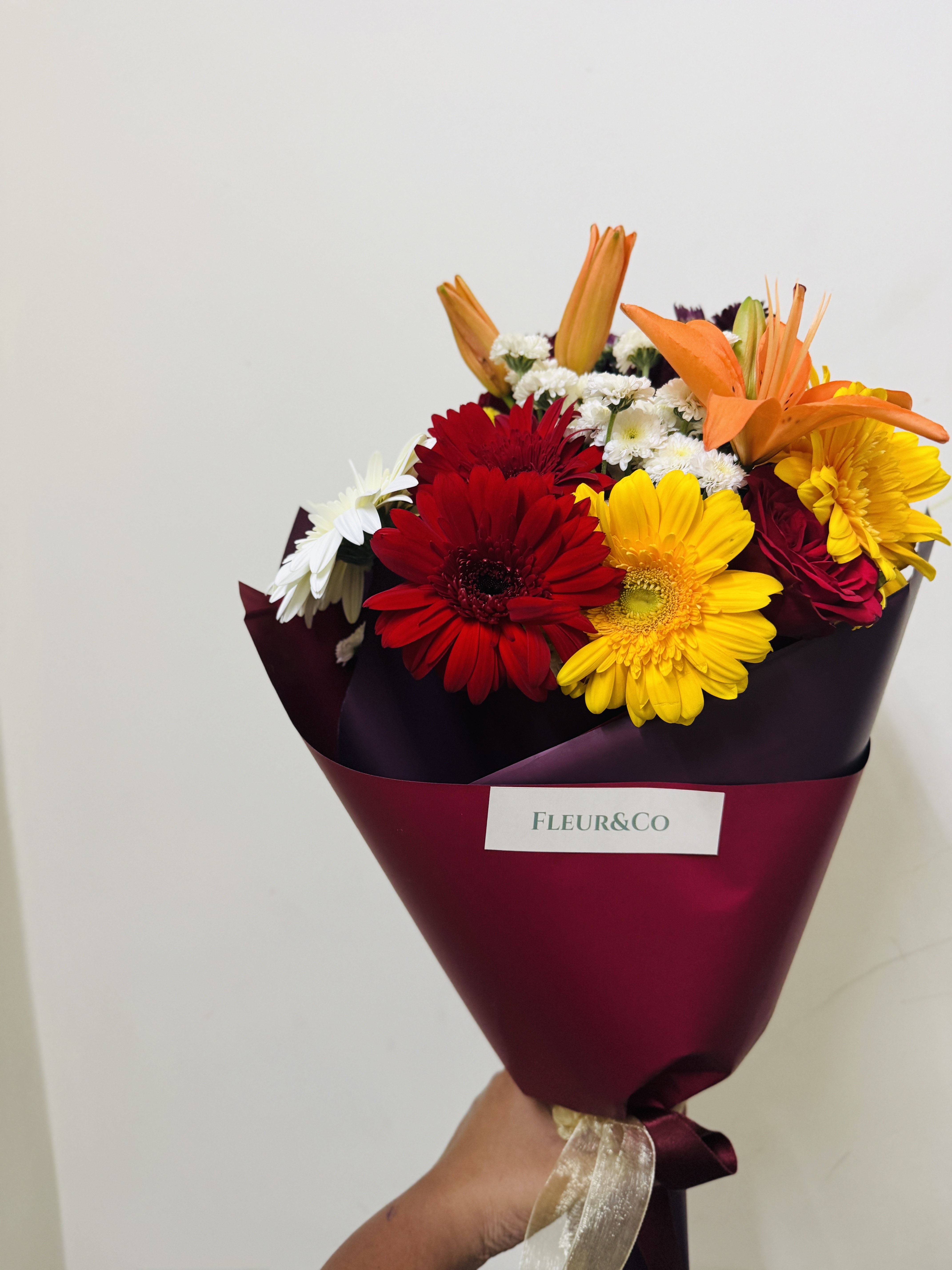 Colorburst Daisies