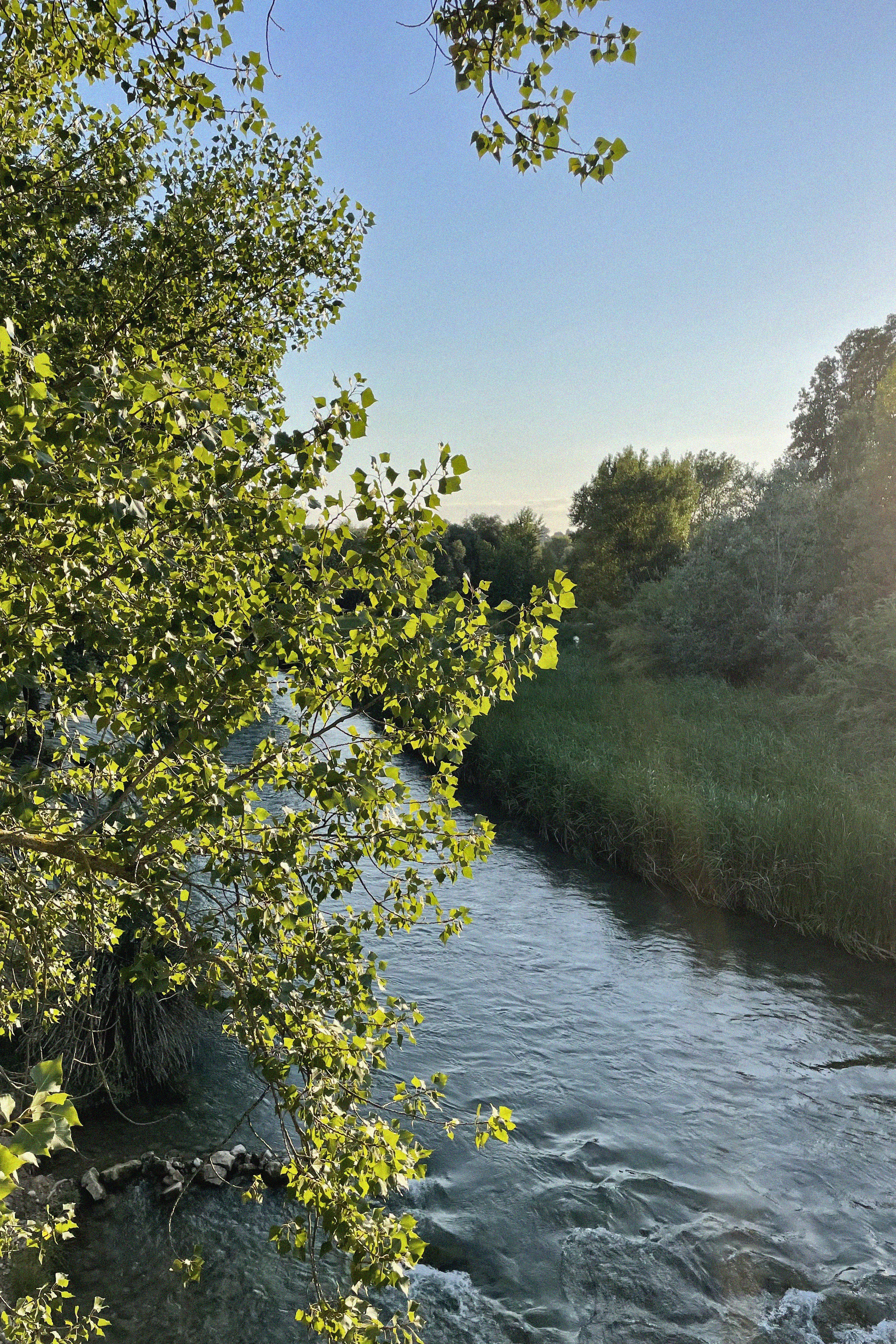 PILATES EN LA NATURA & BRUNCH - 5 julio 25'