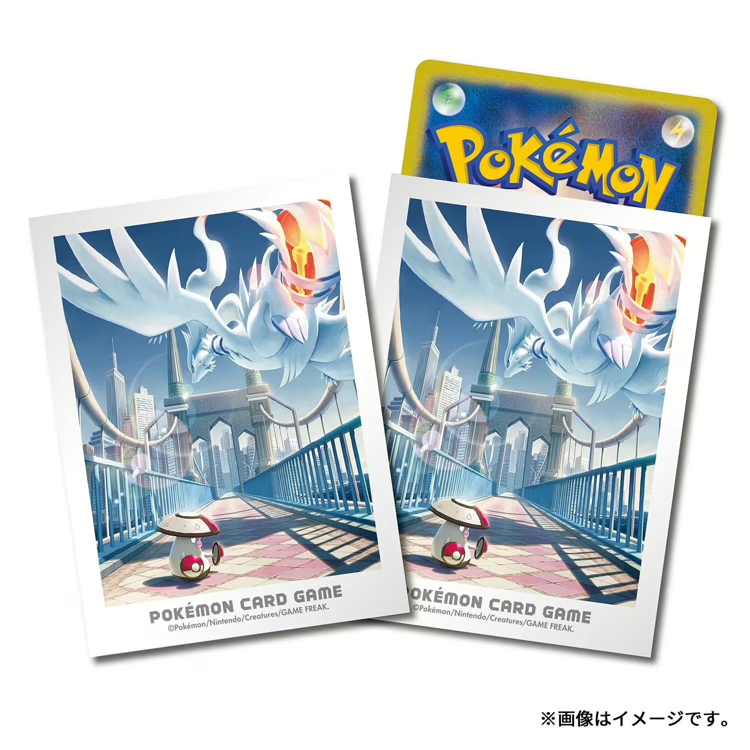 Protège carte Reshiram & Gaulet
