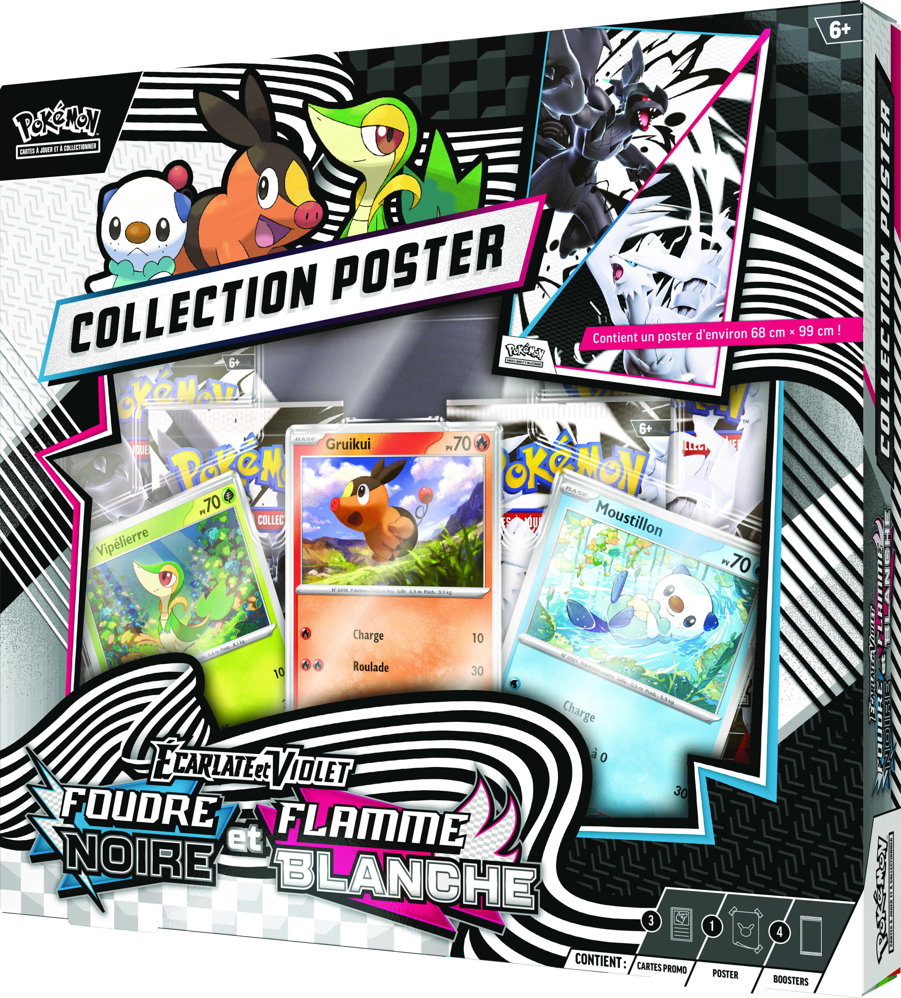 Collection Poster Foudre Noire & Flamme Blanche