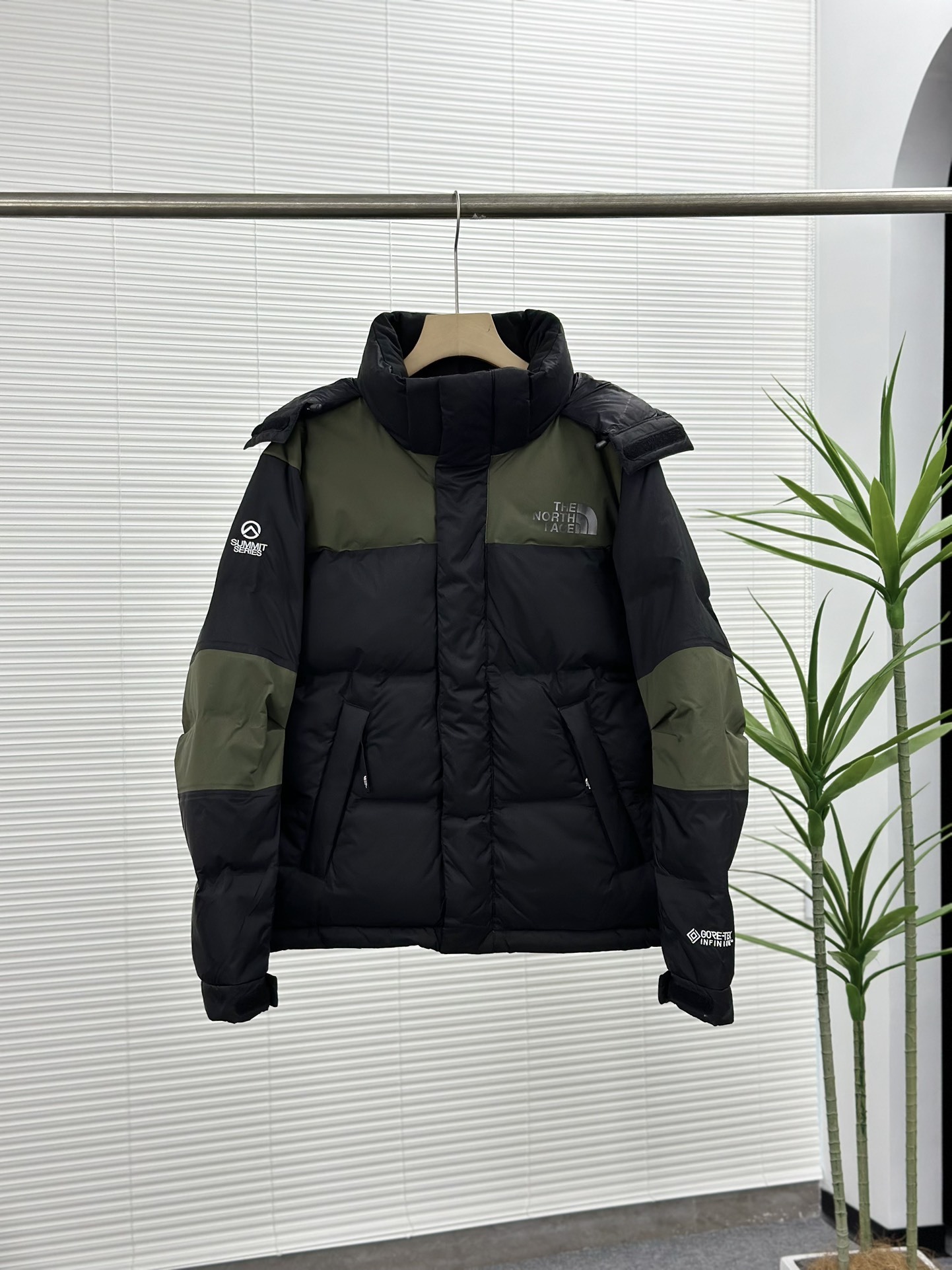 Doudoune TNF Gore-Tex Mixte 