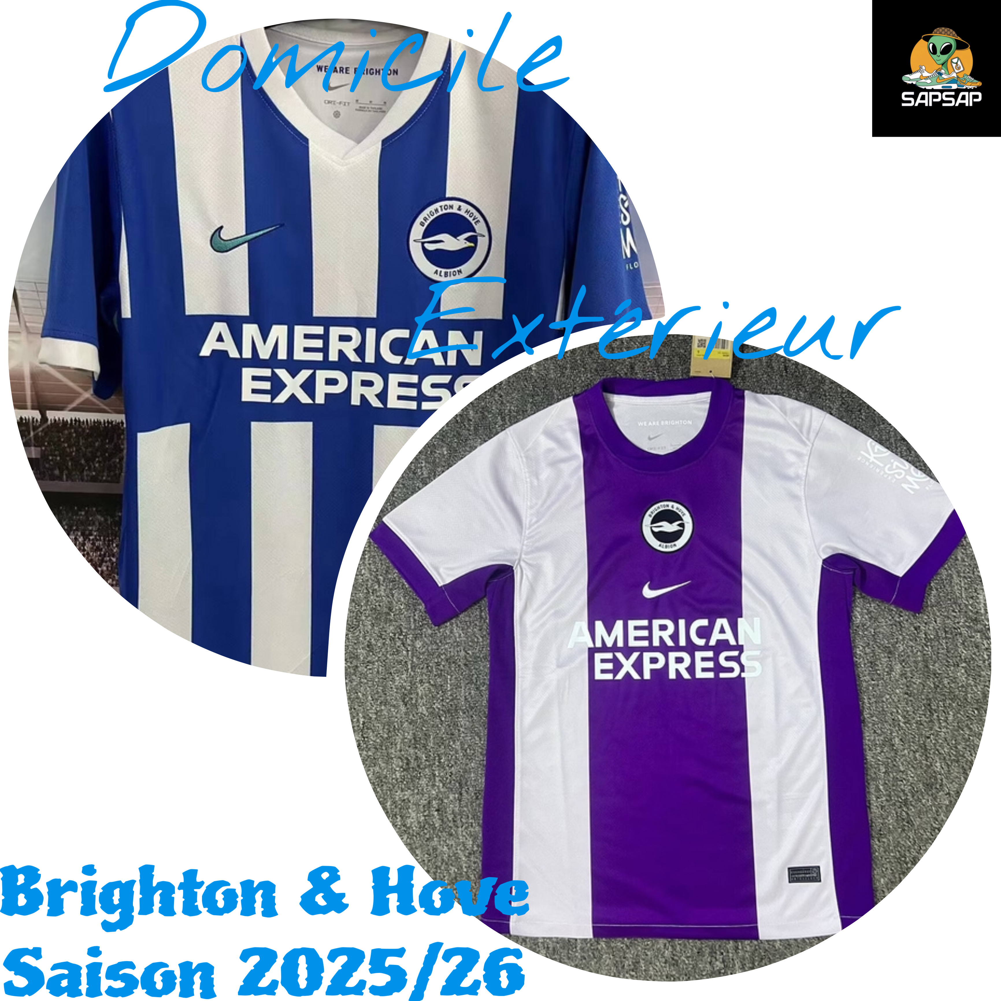 Brighton & Hove Saison 2025/26