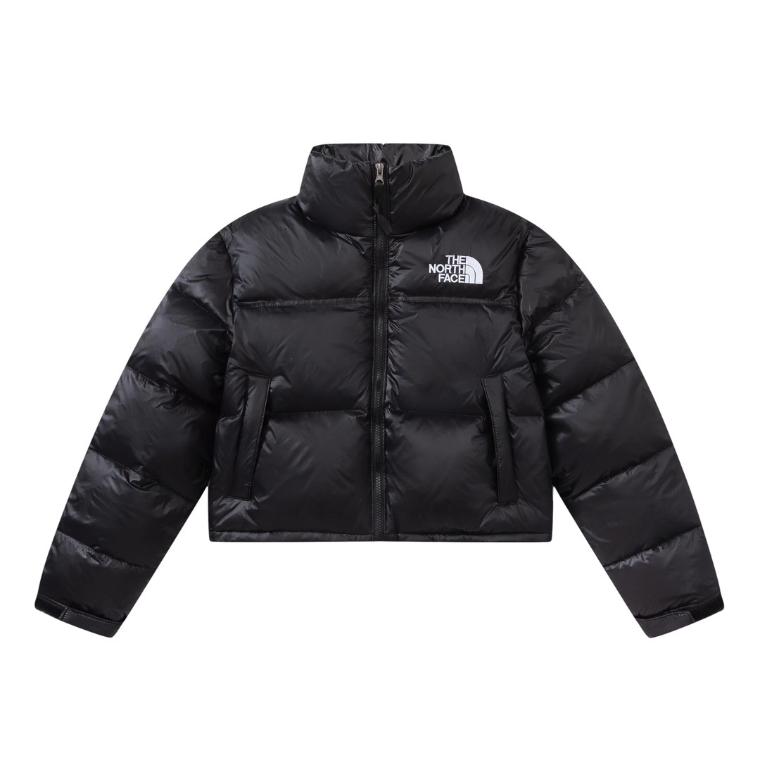 Doudoune TNF 700 Courte 