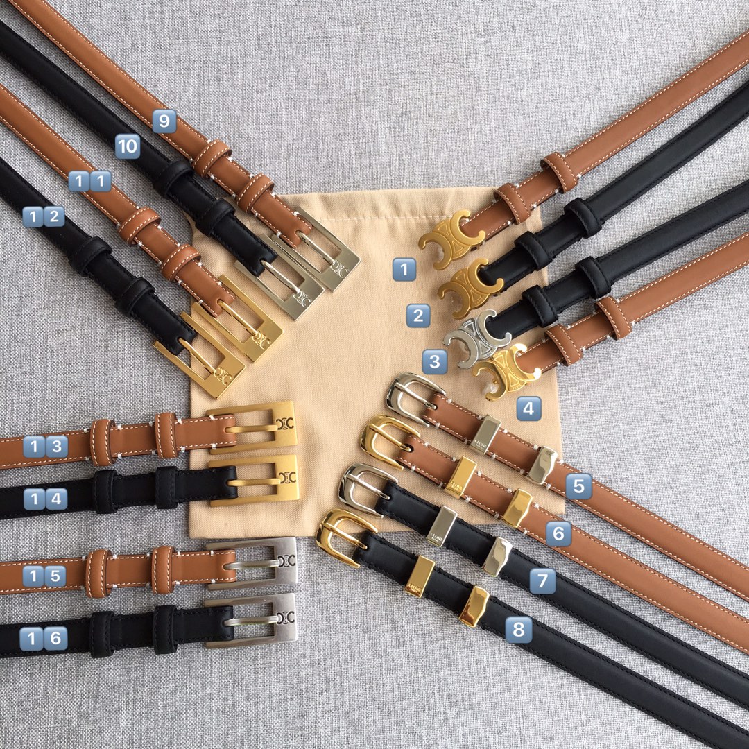 Ceinture Coach 