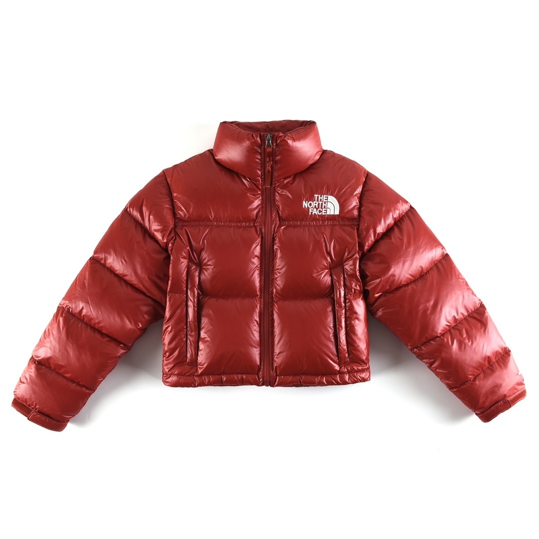 Doudoune TNF 700 Courte 