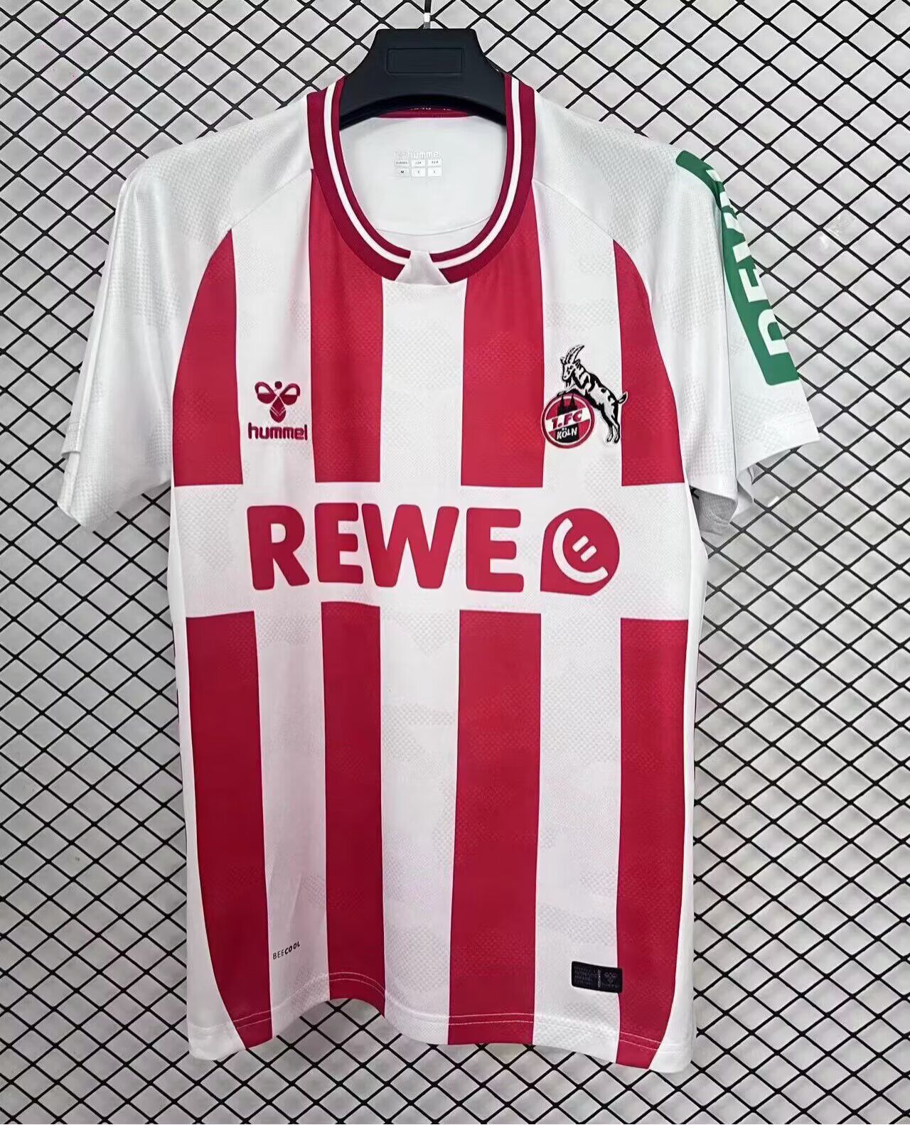 FC Köln Saison 2025/26