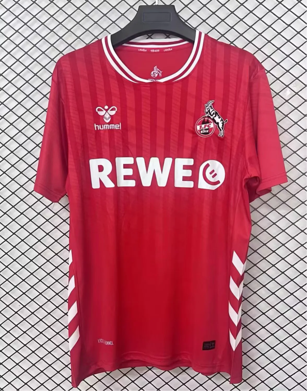 FC Köln Saison 2025/26