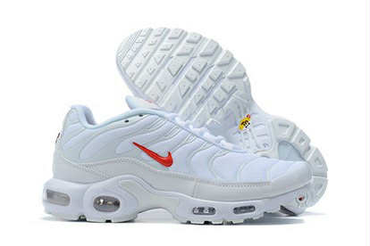 NK Airmax Plus TN Édition «Blanc»