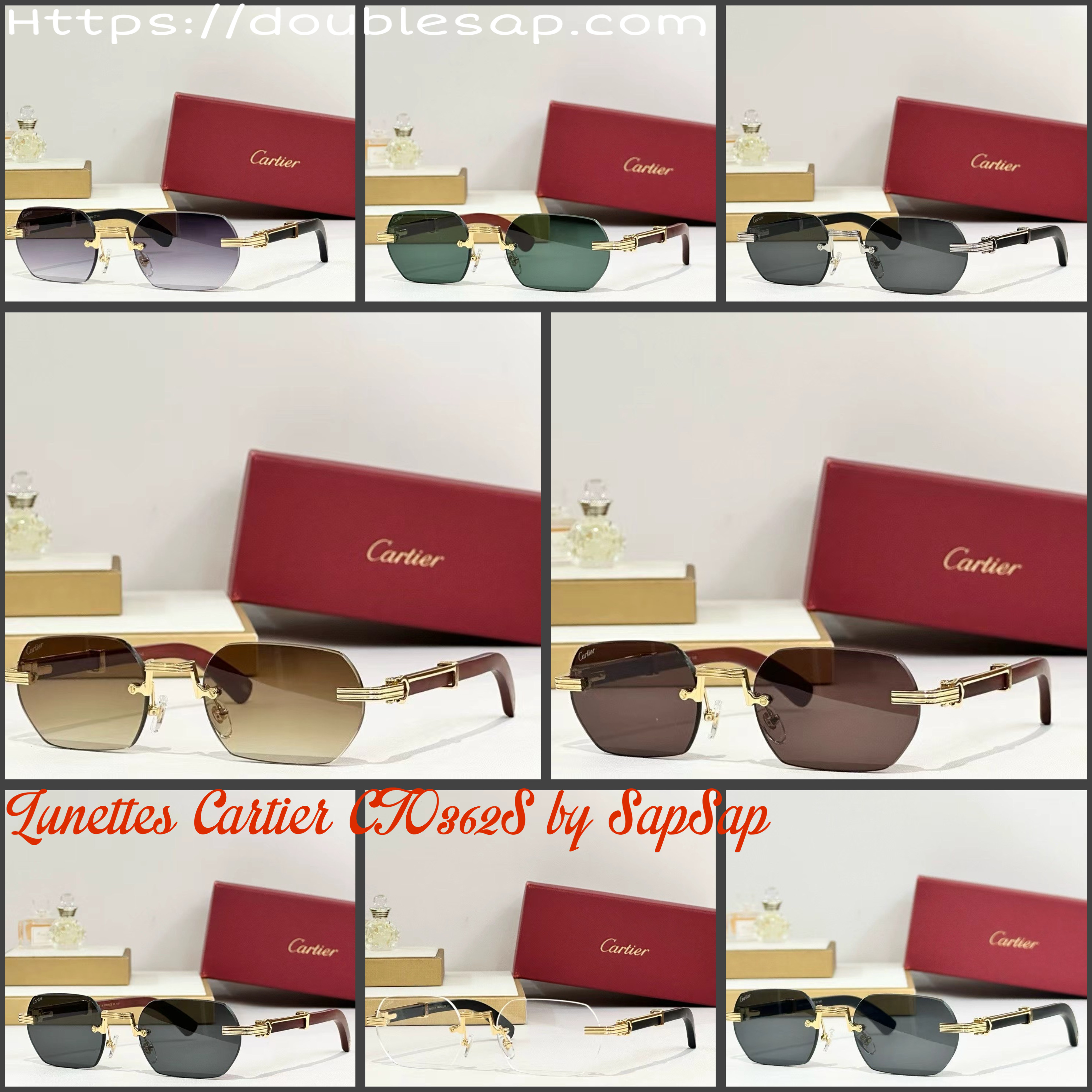 Lunettes Cart CT0362S 