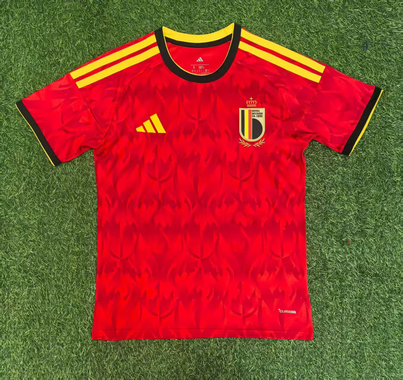 Belgique Saison 2025/26