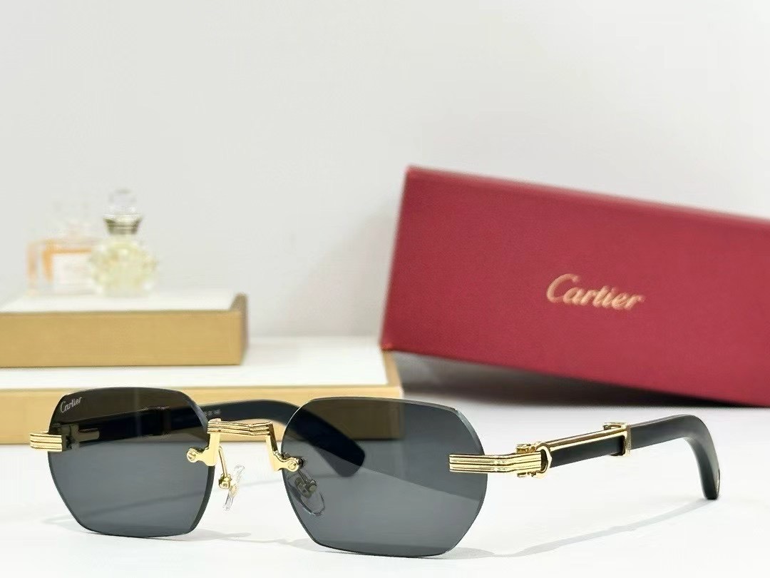 Lunettes Cart CT0362S 