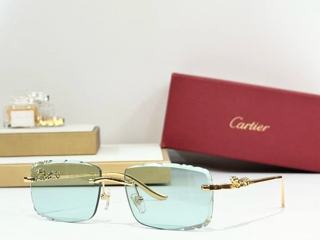 Lunettes Cart CT 01592