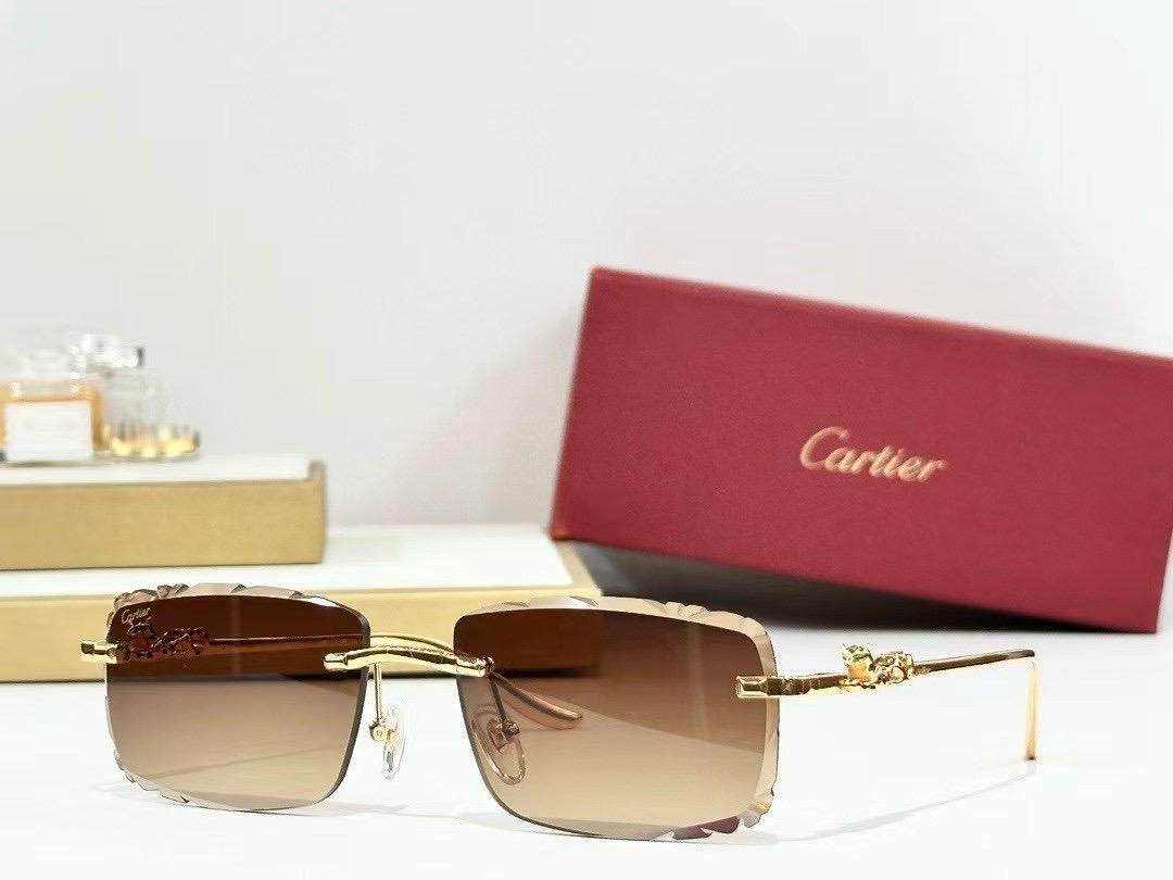 Lunettes Cart CT 01592