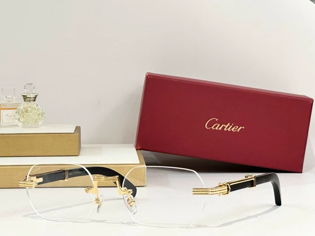 Lunettes Cart CT0362S 
