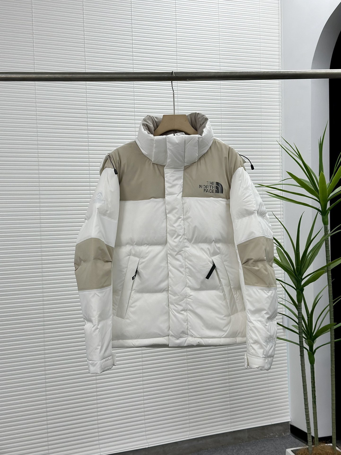 Doudoune TNF Gore-Tex Mixte 
