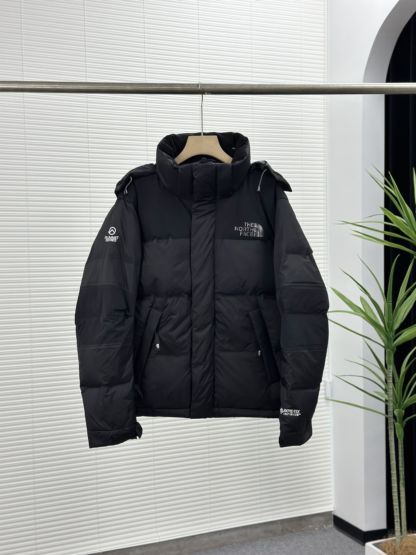 Doudoune TNF Gore-Tex Mixte 