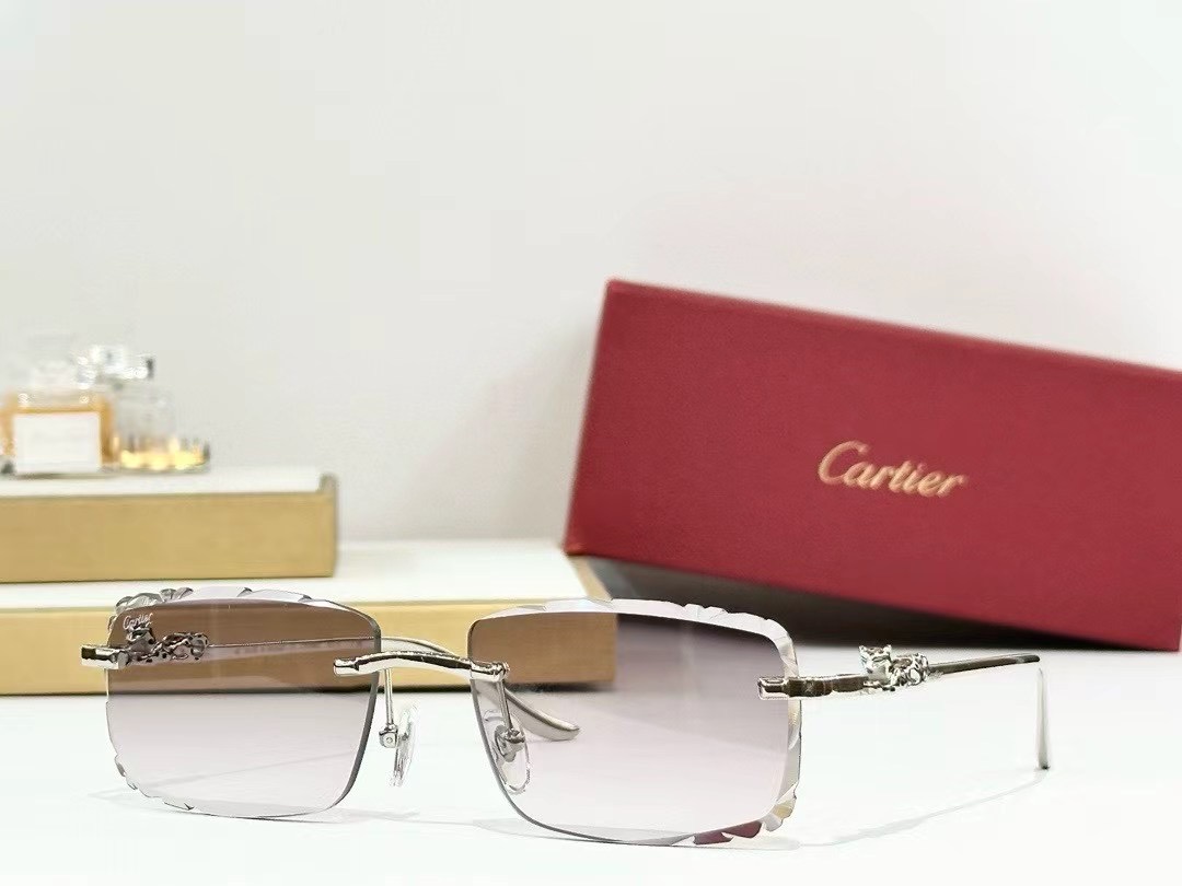 Lunettes Cart CT 01592
