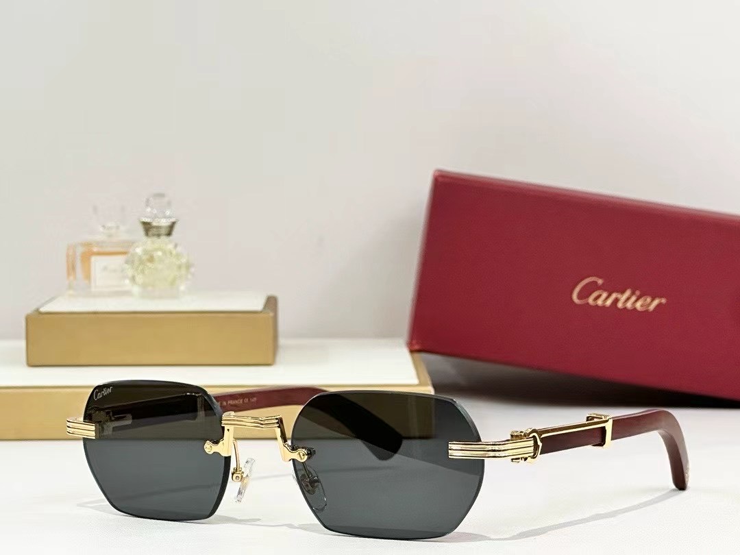 Lunettes Cart CT0362S 