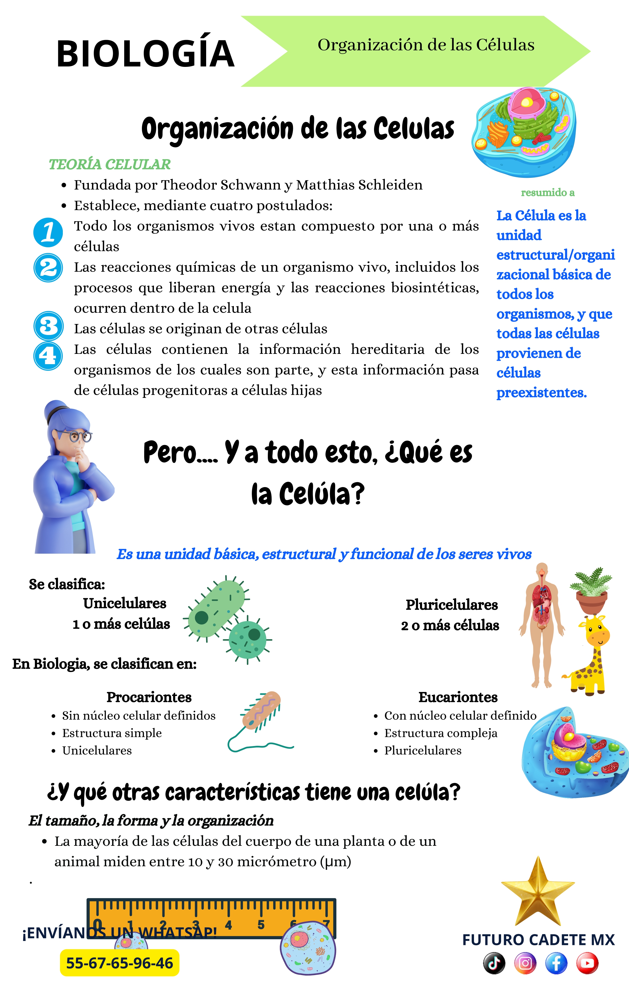 Guía Premium Escuela Militar de Enfermería 2026