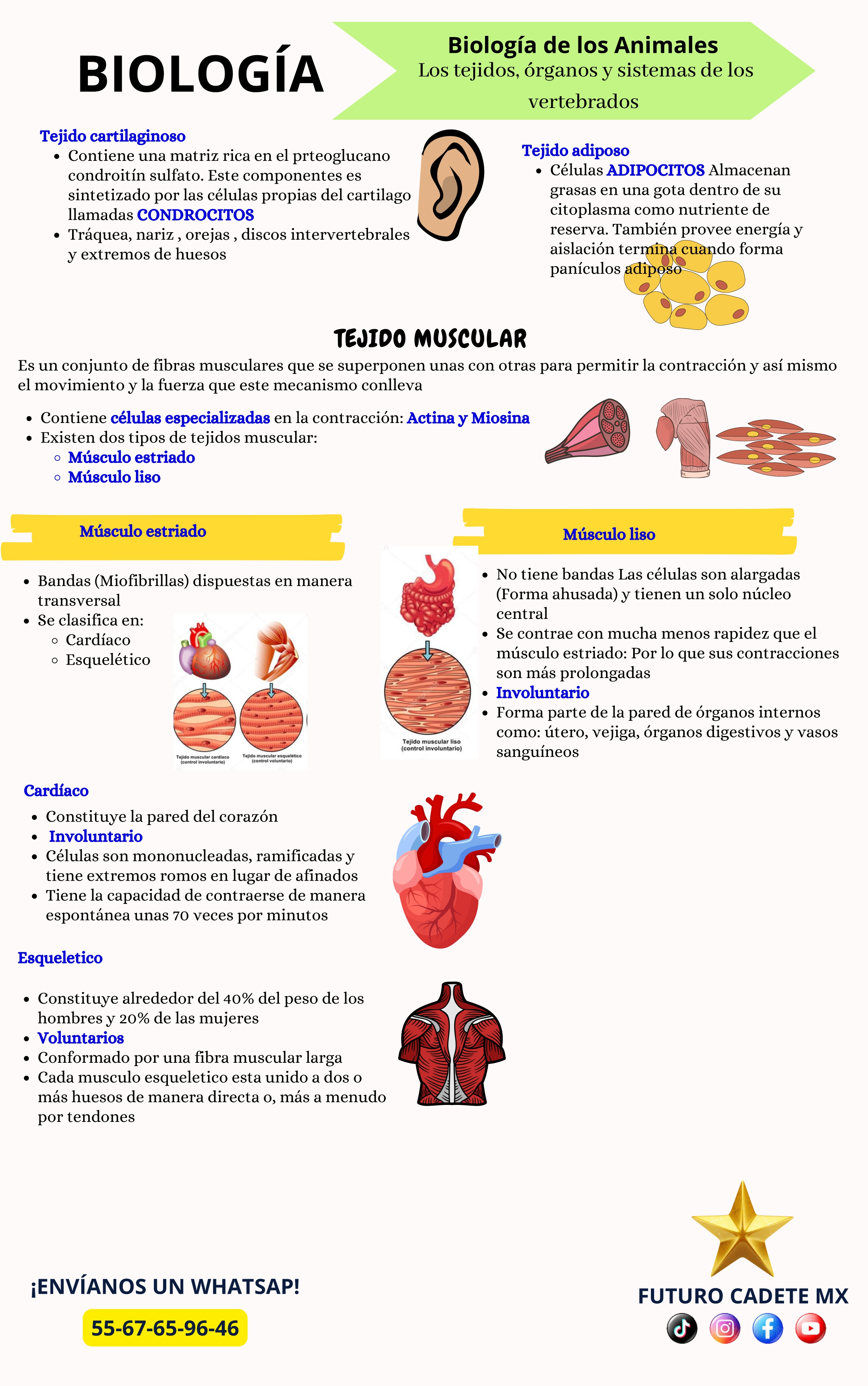 Guía Premium Escuela Militar de Odontología  2026