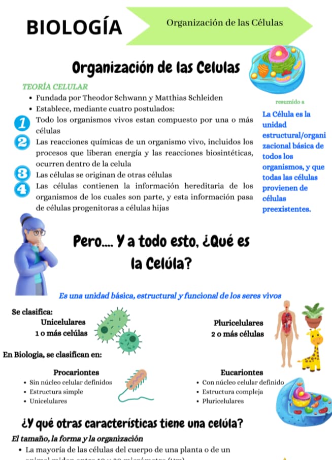 Guía Premium Escuela Militar Oficiales de Sanidad 2026