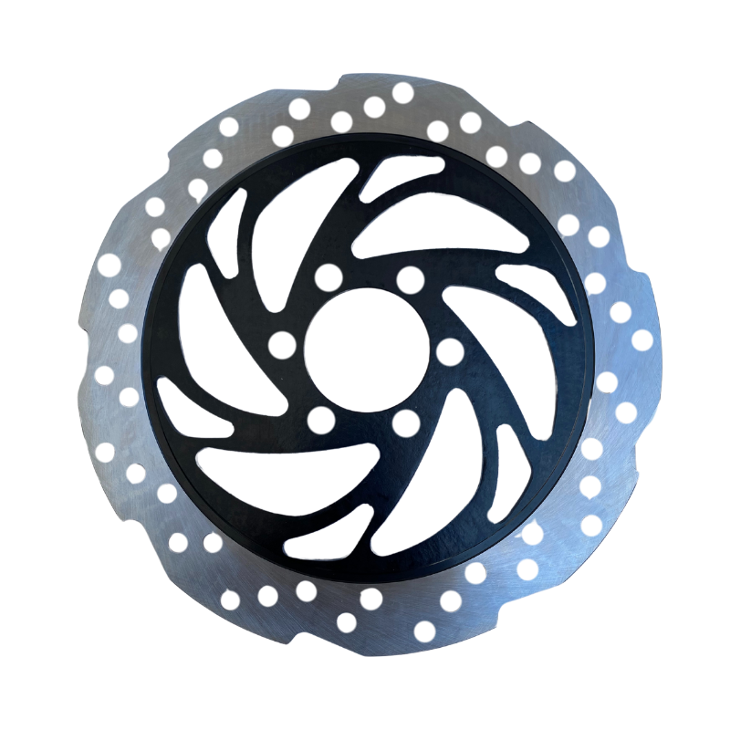 Disco Freno Delantero NS200