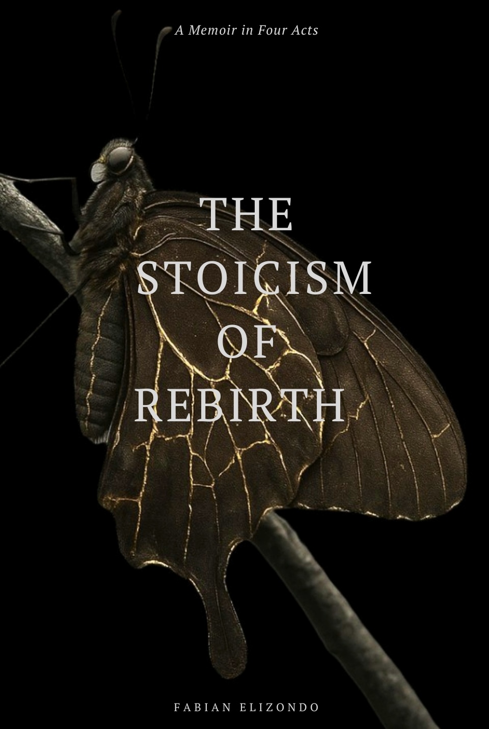 The Stoicism of Rebirth Memoir (METAMORPHOSIS EDITION)