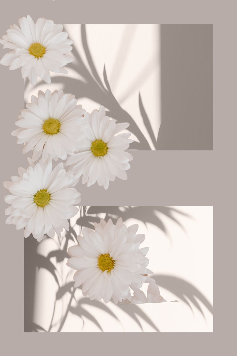 Definite Design of a modern wall art on canvas