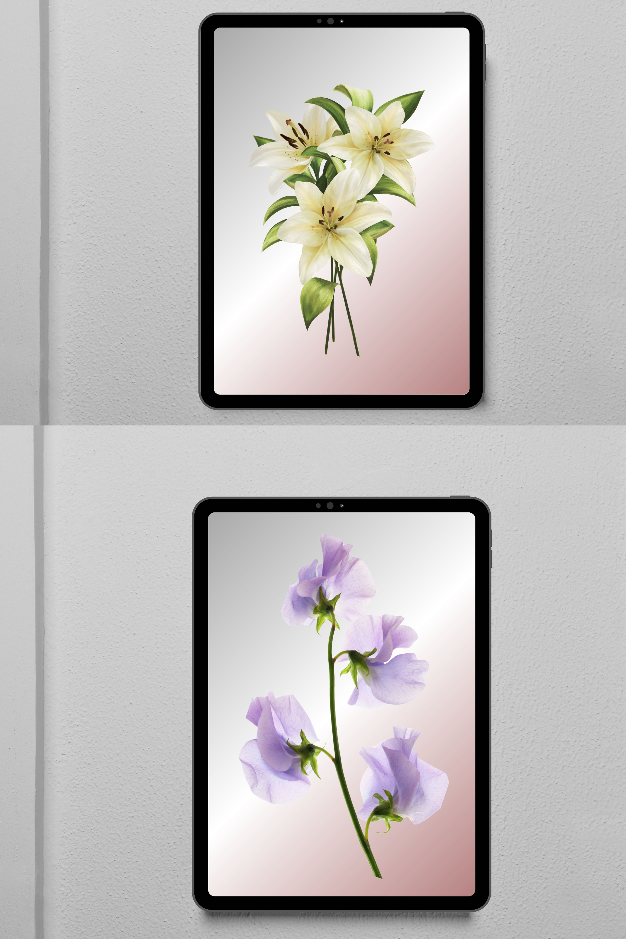 2 x amazing flower canvas wall art, these would grace any room. Great price two canvas wall arts. SPECIAL OFFER