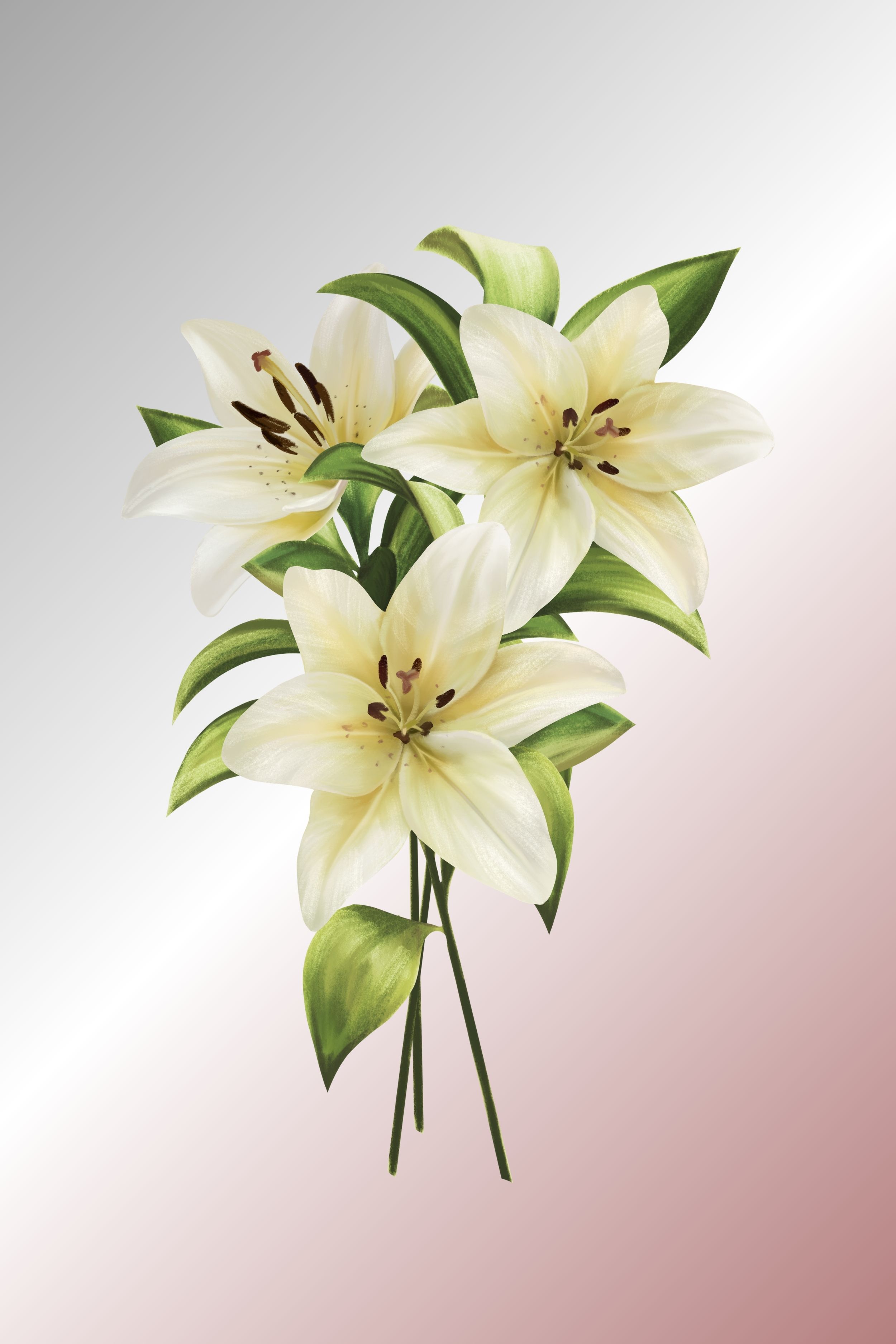 2 x amazing flower canvas wall art, these would grace any room. Great price two canvas wall arts. SPECIAL OFFER