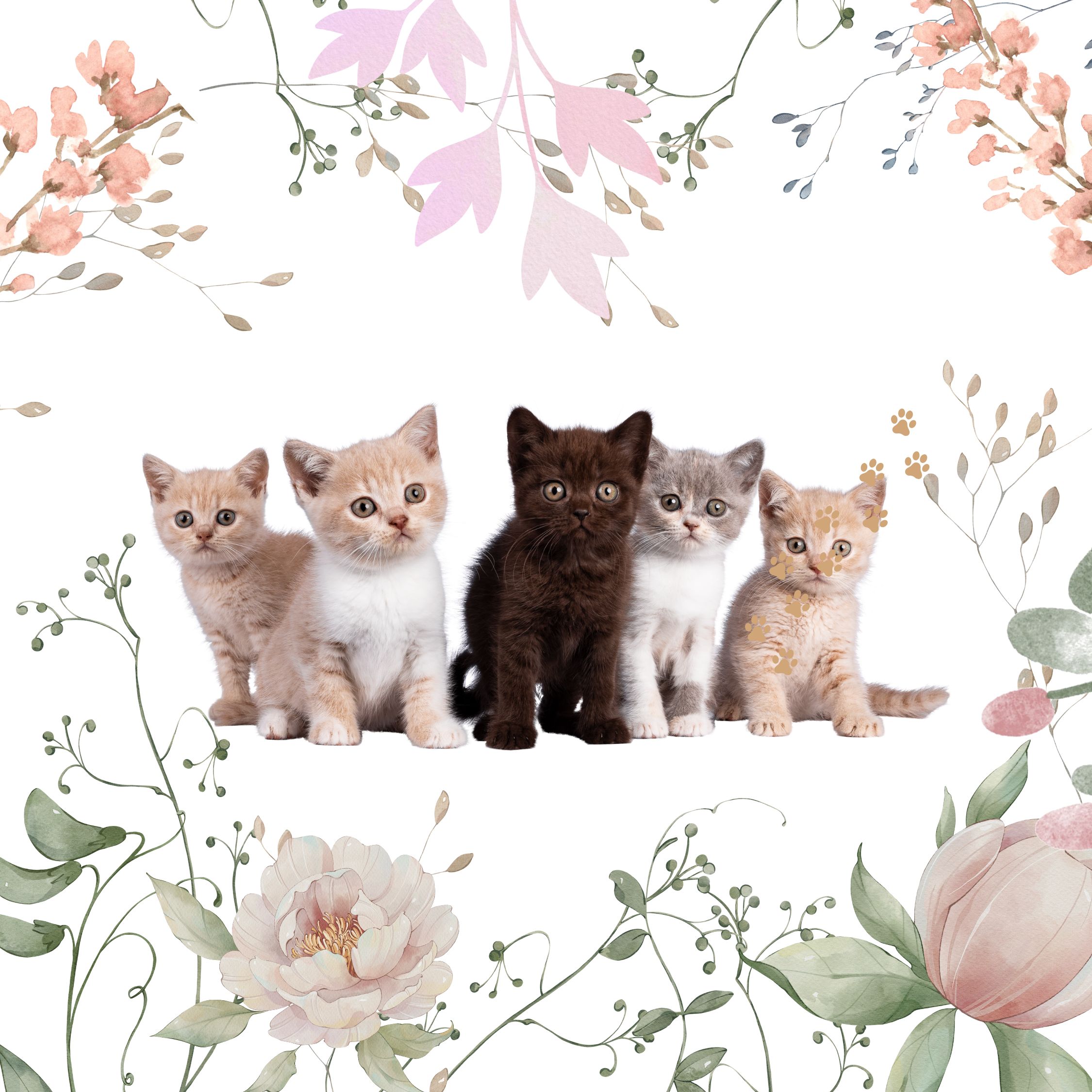 Cushion in faux suede for cat lovers, cute design for many areas in the house.