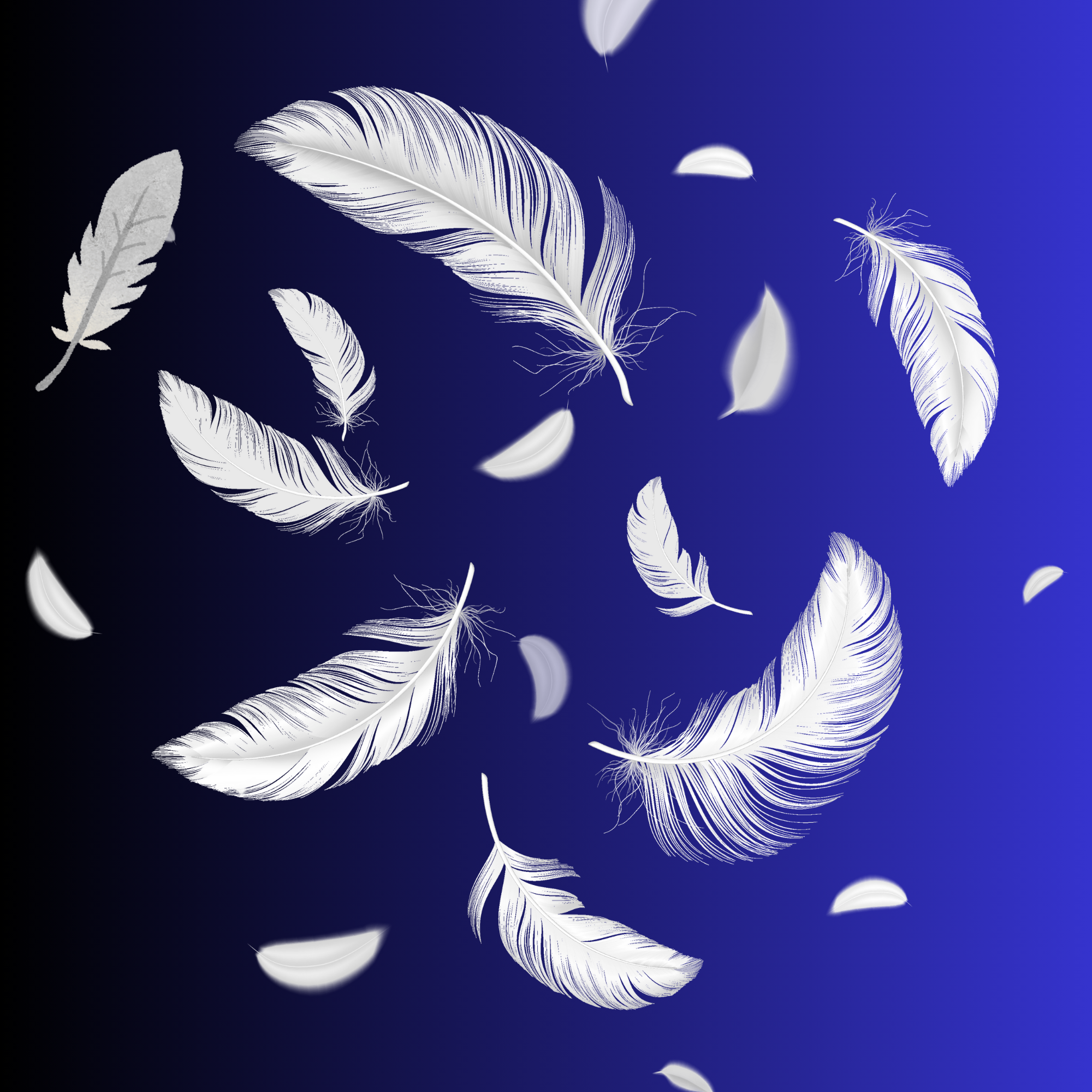 Dark blue cushion with feathers, various sizes