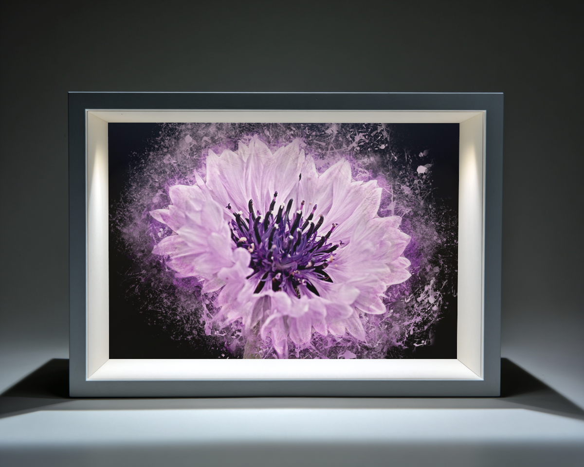Illuminated Floral Art Frame, pretty canvas wall art. Ideal for any room