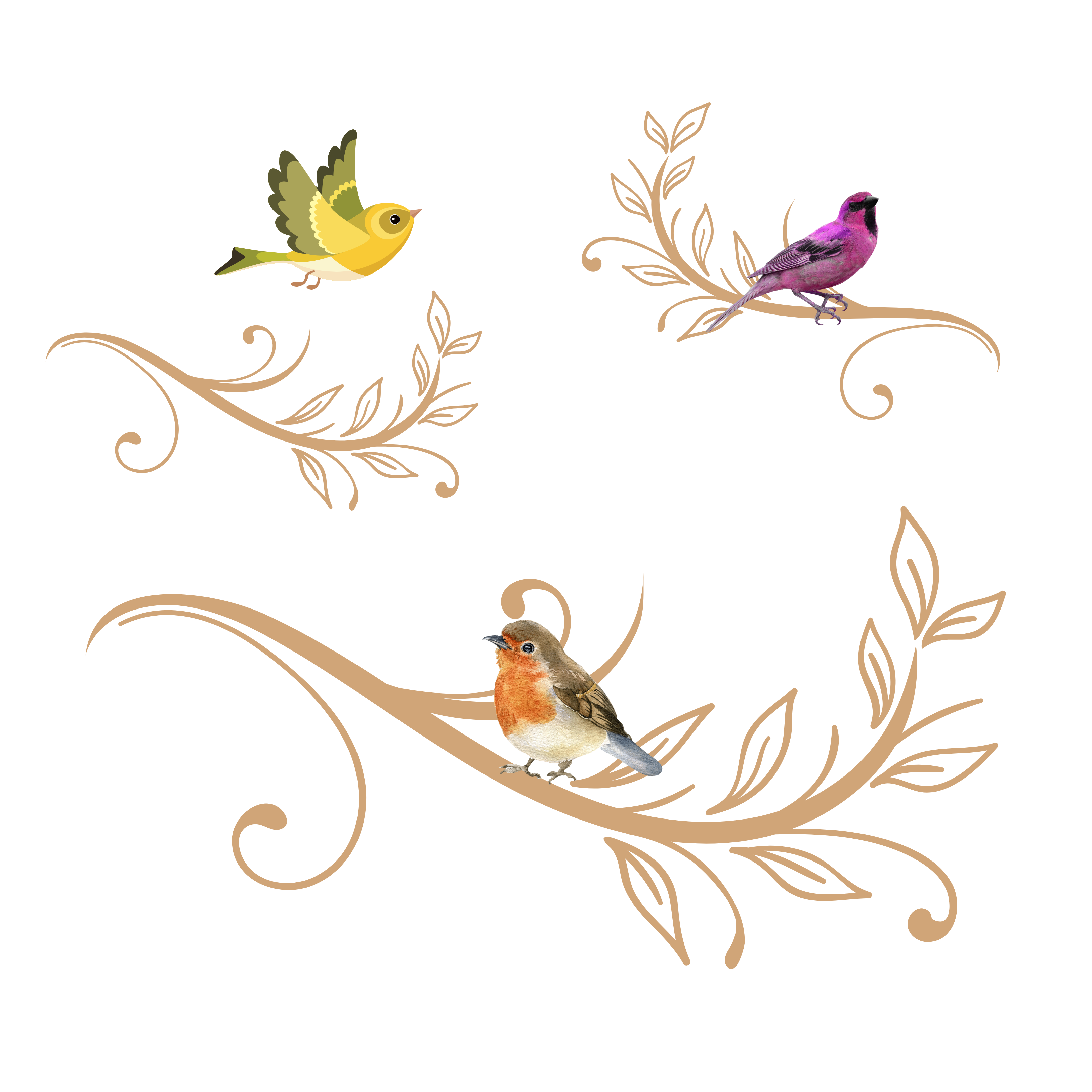 Decorative Bird cushion, attractive set up on a white background.