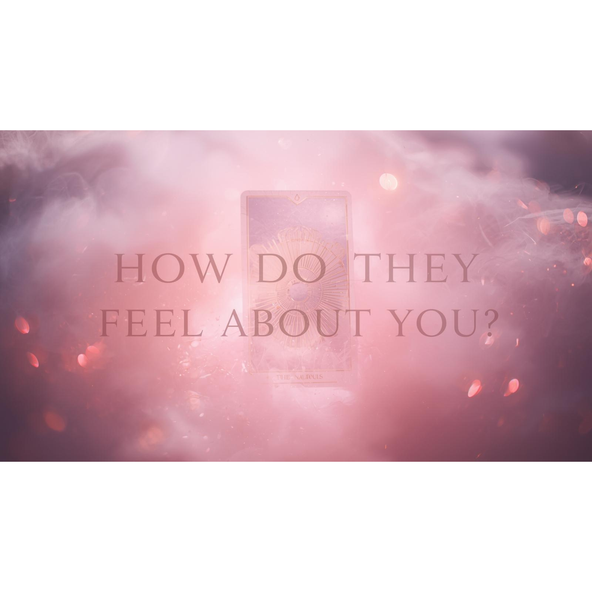 How do they feel about you? 1 card tarot love session