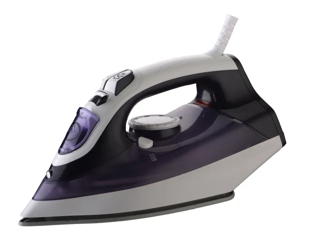 Electric Steam Iron