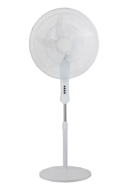 Standing Fan