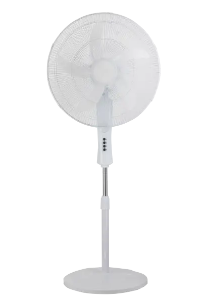 Pedestal Fan