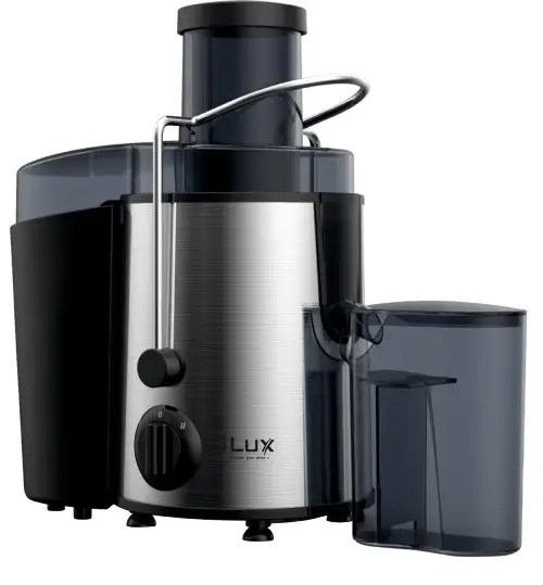 Electric Juicer